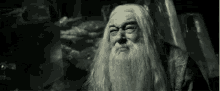 Harry Potter Dumbledore GIF - Harry Potter Dumbledore Smh GIFs