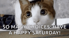 Saturday Confused GIF - Saturday Confused So Many Choices GIFs
