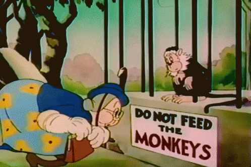 Do Not Feed The Trolls Do Not Feed The Monkeys GIF - Do Not Feed The Trolls...