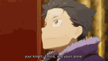 re zero subaru knight re zero subaru knight