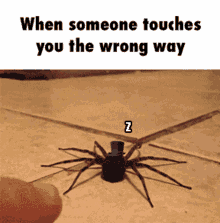 Spider Wrong Way GIF - Spider Wrong Way Shocked GIFs