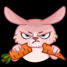 Bunny Rabbit GIF - Bunny Rabbit Angry GIFs