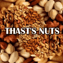 Thats Nuts GIF - Thats Nuts Nuts GIFs