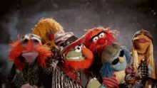 Electric Mayhem Muppets GIF - Electric Mayhem Muppets Floyd Pepper GIFs