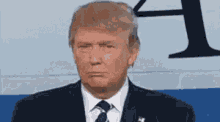 Donald Trump Jail GIF - Donald Trump Jail Like GIFs