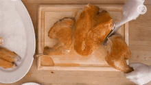 Happy Thanksgiving Turkey Chicken GIF - Happy Thanksgiving Turkey Chicken Chicken GIFs