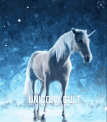 Unicorn Unicorn Cult GIF - Unicorn Unicorn Cult Patreon T3 GIFs