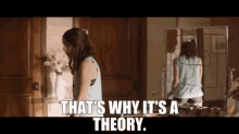 Palm Springs Sarah Wilder GIF - Palm Springs Sarah Wilder Thats Why Its A Theory GIFs