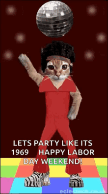 Disco Kitty Party GIF - Disco Kitty Party Lets Party Like Its1969 GIFs