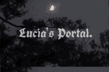 portal night