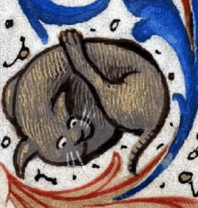 Medieval Marginalia Cat GIF - Medieval Marginalia Cat Lick GIFs