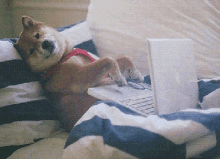 Working Home GIF - Working Home Tired GIFs