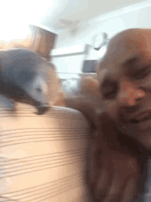 thankyouforyourservice drunkwalk parrot selfie