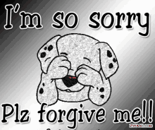 sorry forgive me dog