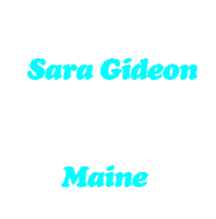 Sara Gideon Thank You Sara Gideon Sticker - Sara Gideon Gideon Thank You Sara Gideon Stickers