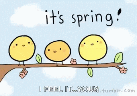 Spring Its Spring GIF - Spring Its Spring Birds GIFs