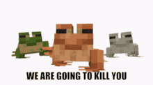 Frog Minecraft GIF - Frog Minecraft We Are Going To Kill You GIFs
