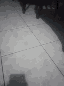 tiles shadow