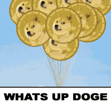 Up Doge Whats Up Dog GIF - Up Doge Up Dog Whats Up Dog GIFs