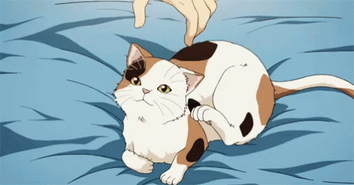 كيف اعتني بقطة ~ Anime-cats
