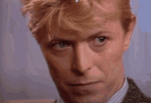 David Bowie What GIF - David Bowie Bowie What GIFs