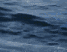 Water Sea GIF - Water Sea Waves GIFs