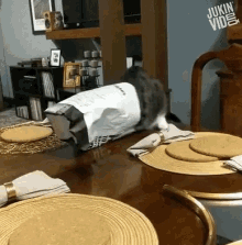 cat fail cat head in bag fall off table cat lulz funny gifs cat fail cat head in bag fall off table cat lulz funny gifs