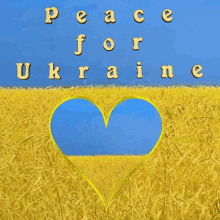 Ukraine Peace For Ukraine GIF - Ukraine Peace For Ukraine Flag GIFs