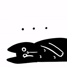 funnycat cat