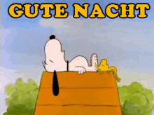 Snoopy gif morgen guten Gif Guten