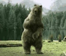 bear dancing lets party dance move
