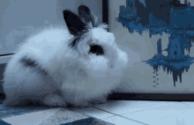 Bunny Sleep GIF - Bunny Sleep Cute GIFs