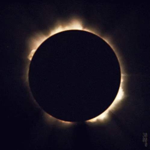 Eclipse GIF - Sun Solar Eclipse Eclipse GIFs