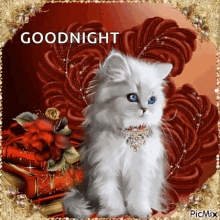kitten sad goodnight sparkle night