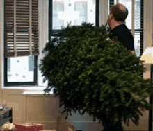 Bye GIF - Christmas Tree Throw Window GIFs