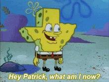Im Texas Spongebob GIF - Im Texas Spongebob Patrick GIFs
