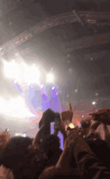 concert travis