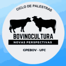 gpebov bovinocultura new perspectives