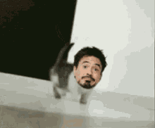 Robert Downey Jr Rdj GIF - Robert Downey Jr Rdj Cat GIFs