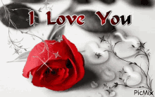 I Love You Red Rose GIF - I Love You Red Rose Rose GIFs