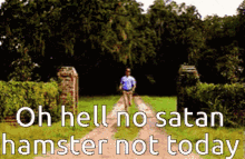 Oh Hell No Satan GIF - Oh Hell No Satan Hamster GIFs