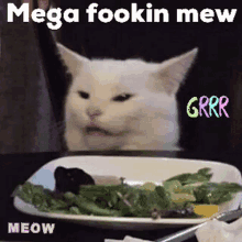mega mew fookin meow grr