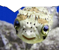 Neonyellowsign Pufferfish Sticker - Neonyellowsign Pufferfish Nick Stickers
