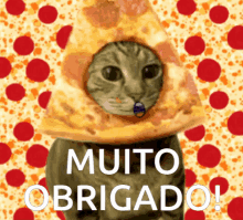 pergunte ao gato pizza kaukkakanom pergunte ao gato pizza kaukkakanom