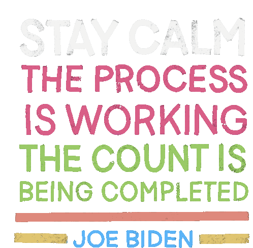 Stay Calm The Process Is Working Sticker - Stay Calm The Process Is Working The Count Is Being Completed Stickers