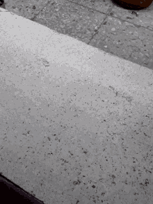 prueba proof floor cement