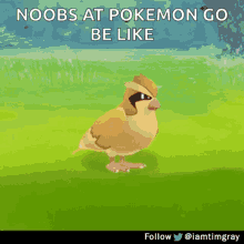 Pokemon Go Noobs GIF - Pokemon Go Noobs Fail GIFs