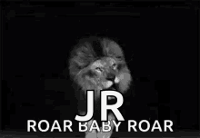 Lion Roar GIF - Lion Roar Strong GIFs