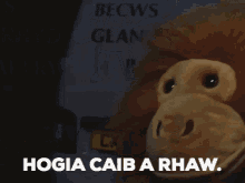 Carw Piws Cymraeg GIF - Carw Piws Cymraeg Hansh GIFs