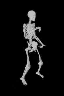 Esqueleto Bailando Sticker - Esqueleto Bailando - Discover & Share GIFs